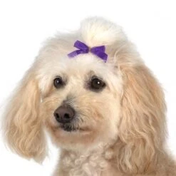 Aria Multi Colour Bow Canister 3/8in 100 PC -Wahl Shop AR 16199 2