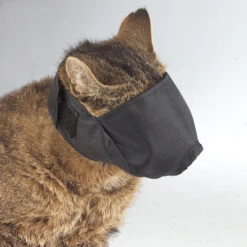 Guardian Gear Lined Cat Muzzles Large 7 Guardian Gear Lined Cat Muzzles Large -Wahl Shop GG 55819 2