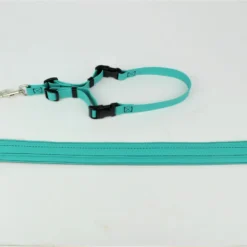 GroomTech Biothane Belly Strap Set - Teal -Wahl Shop GT BS01 1