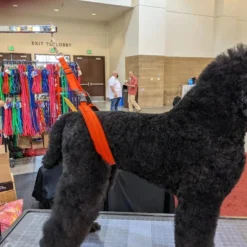 GroomTech Biothane Belly Strap Set - Teal -Wahl Shop GT BS01