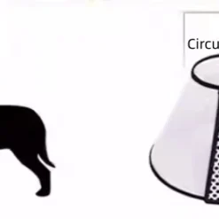 Groomtech Elizabethan Collar #5, Neck Circum 25-34cm, Depth 13cm 13 Groomtech Elizabethan Collar #5, Neck Circum 25-34cm, Depth 13cm -Wahl Shop GT ECA05 4