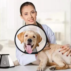 Groomtech Elizabethan Collar #9, Neck Circum 42-50cm, Depth 28cm -Wahl Shop GT ECA09 1