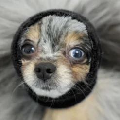 Happy Hoodie Black, X-Small -Wahl Shop HH 00 BK 3