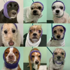 Happy Hoodie Black, Pack Of 2 -Wahl Shop HH 01 BK 2