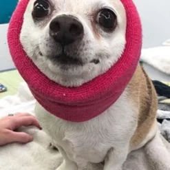 Happy Hoodie Pink, Pack Of 2 15 Happy Hoodie Pink, Pack Of 2 -Wahl Shop HH 01 PK 4