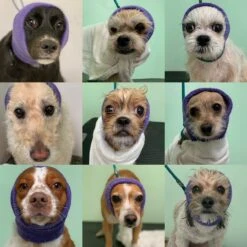 Happy Hoodie Purple, Pack Of 2 14 Happy Hoodie Purple, Pack Of 2 -Wahl Shop HH 01 PP 2