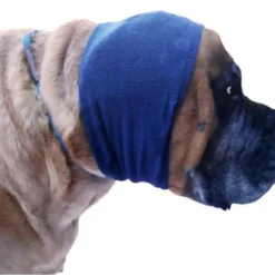 Happy Hoodie Blue, X-Large