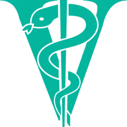 Joyzze Hornet Mini Trimmer 2 Speed [Purple] -Wahl Shop JY 99028 8