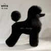 Mr. Jiang Poodle Lamb Clip Full Body Coat / Model Dog [Black] -Wahl Shop MJ PC02K
