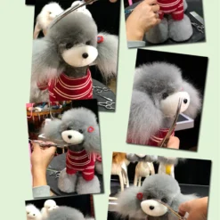 Mr. Jiang Teddy Bear Full Body Coat / Model Dog [Grey] -Wahl Shop MJ TB02G 5