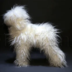 Mr. Jiang Teddy Bear Full Body Coat / Model Dog [White] -Wahl Shop MJ TB02W 7