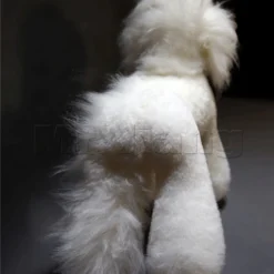 Mr. Jiang Teddy Bear Full Body Coat / Model Dog [White] -Wahl Shop MJ TB02W 8
