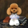 Mr. Jiang Teddy Bear Head Hair / Model Dog [Brown] -Wahl Shop MJ TB04B