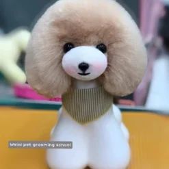 Mr. Jiang Teddy Bear Head Hair / Model Dog [Champagne] -Wahl Shop MJ TB04C 2