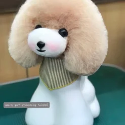 Mr. Jiang Teddy Bear Head Hair / Model Dog [Champagne] -Wahl Shop MJ TB04C 3