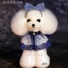 Mr. Jiang Teddy Bear Head Hair / Model Dog [White] -Wahl Shop MJ TB04W