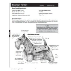 Notes From The Grooming Table 2nd Edition 11 Notes From The Grooming Table 2nd Edition -Wahl Shop MV 65807 4