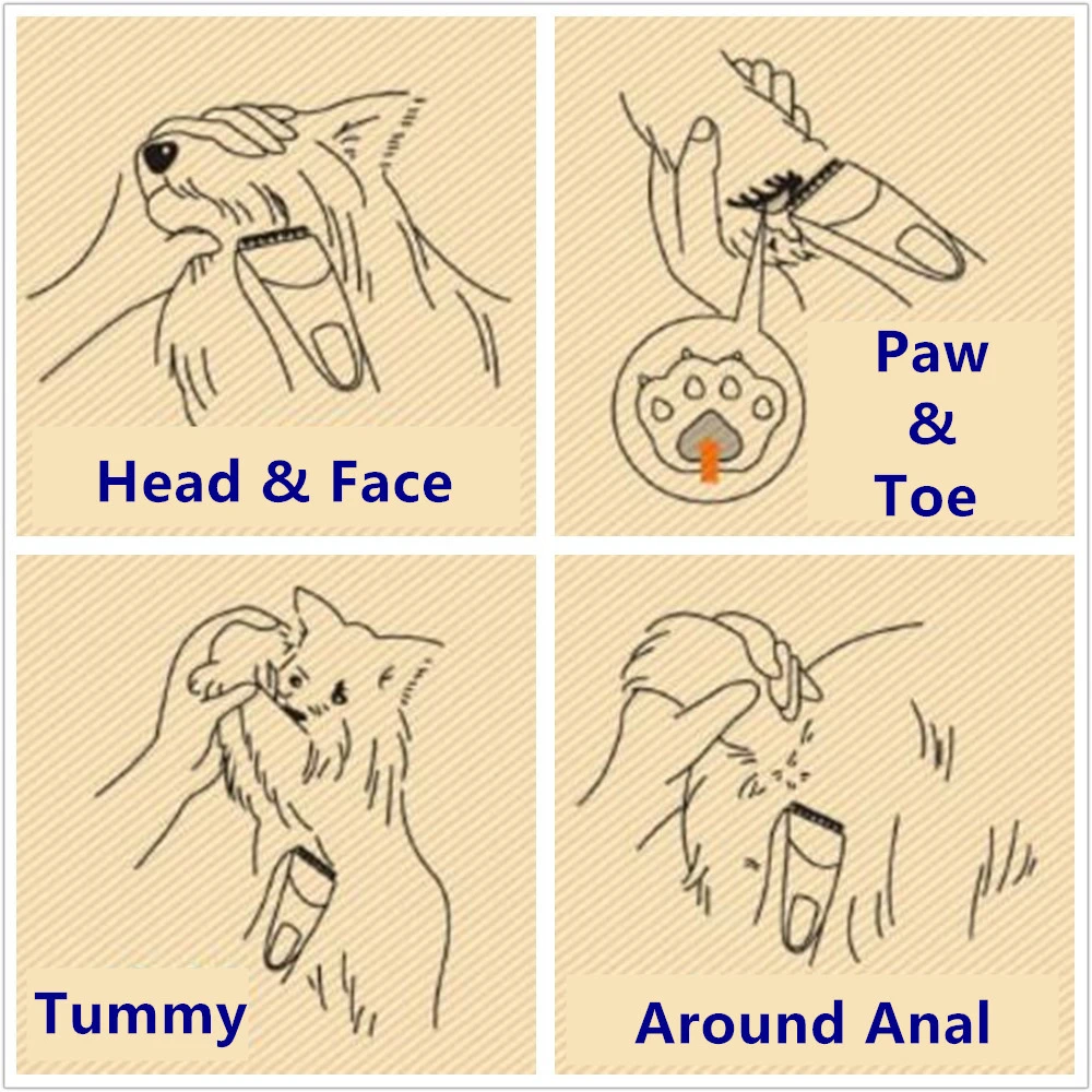 Shernbao Pet Trimmer For Salon And Home PGT310 5 Shernbao Pet Trimmer For Salon And Home PGT310 - Image 3