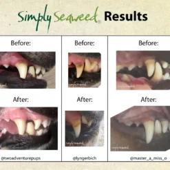 Tropiclean Simply Seaweed Organic Ascophyllum Nodosum 40g 10 Tropiclean Simply Seaweed Organic Ascophyllum Nodosum 40g -Wahl Shop SIS 00309 2