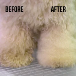 Show Tech Dry Shampoo 100g -Wahl Shop ST 90021 3