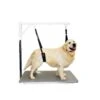 Show Tech Comfort Belly Strap For Small Dog -Wahl Shop ST 90799