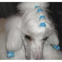 Show Tech Latex Bands Neon 1000pcs -Wahl Shop ST 90998 2