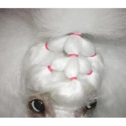 Show Tech Latex Bands Neon 1000pcs -Wahl Shop ST 90998 3