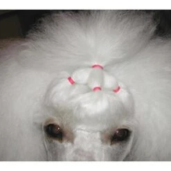 Show Tech Latex Bands Neon 1000pcs -Wahl Shop ST 90998 4