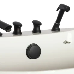 Aeolus Acrylic Bathing Tub With Faucet And Sprayer Kit - Free Booster -Wahl Shop T BTF1200DB 2