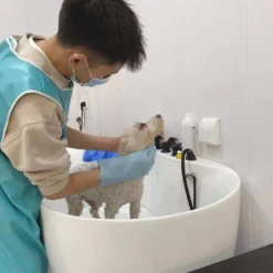 Aeolus Acrylic Bathing Tub With Faucet And Sprayer Kit - Free Booster -Wahl Shop T BTF1200DB 3