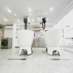 Aeolus Acrylic Bathing Tub With Faucet And Sprayer Kit - Free Booster -Wahl Shop T BTF1200DB 6