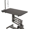 Aeolus Classic Z Shape Electric Lifting Table - Medium [Black] -Wahl Shop T FT802E BK