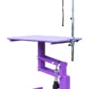 Aeolus Classic Z Shape Electric Lifting Table - Medium [Purple] -Wahl Shop T FT802E PP