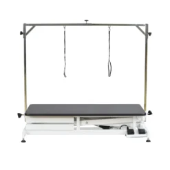 Aeolus Low-Low Electric Lifting Table Eco Version -Wahl Shop T FT808 ECO 2