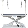 Aeolus Low-Low PRO Electric Lifting Table With Air Switch -Wahl Shop T FT808Pro A