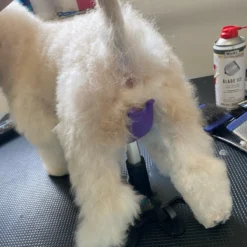 Aeolus Dog Grooming Stand / Saddle For Holding Dogs -Wahl Shop T FT8108SD S 5