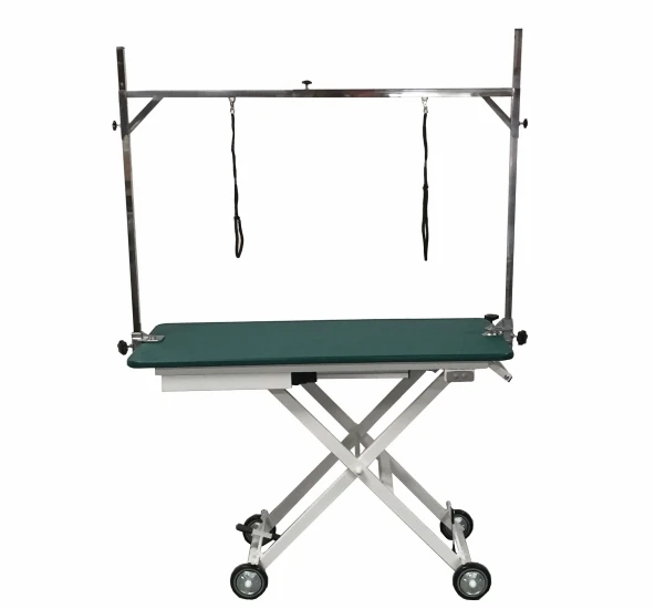 AEOLUS Electric Competition Table 3 AEOLUS Electric Competition Table