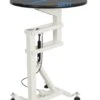 KissGrooming Round Air Lift Grooming Table FT838
