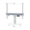 Aeolus Rectangle Grooming Table With Vertical Lift Column -Wahl Shop T FT891
