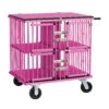 Aeolus 4-Berth Show Trolley With 6" Rubber Wheels - Large [Pink] -Wahl Shop T KB511NAF PK Kit6W