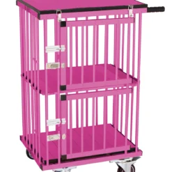 Aeolus 2-Berth Double Deck Show Trolley With 4" Nylon Wheels - XSmall [Pink]