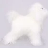 KissGrooming Teddy Bear Coat For Model Dog Mannequin [White]