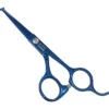 Swan Facial Scissors Round Tip 5" [Blue] -Wahl Shop T SW54150