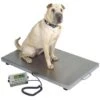 Stainless Steel Walk On Animal Scale [Medium] -Wahl Shop T WOS3624